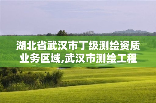 湖北省武汉市丁级测绘资质业务区域,武汉市测绘工程技术规定