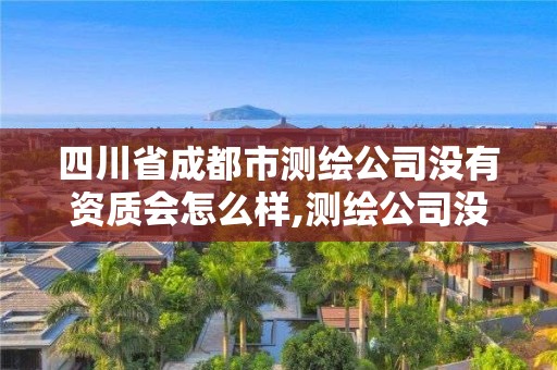 四川省成都市测绘公司没有资质会怎么样,测绘公司没有资质能开票。