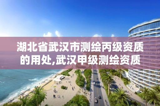 湖北省武汉市测绘丙级资质的用处,武汉甲级测绘资质名录