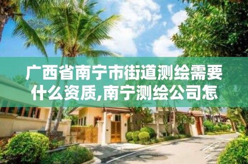 广西省南宁市街道测绘需要什么资质,南宁测绘公司怎么收费标准