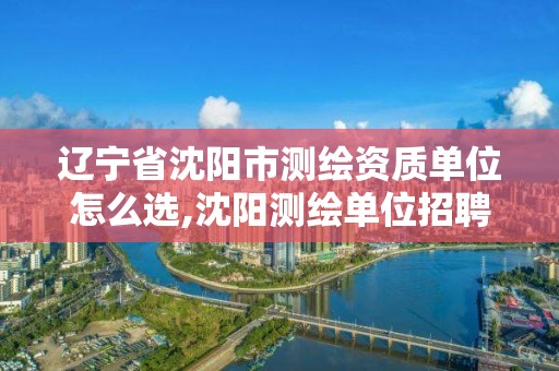 辽宁省沈阳市测绘资质单位怎么选,沈阳测绘单位招聘