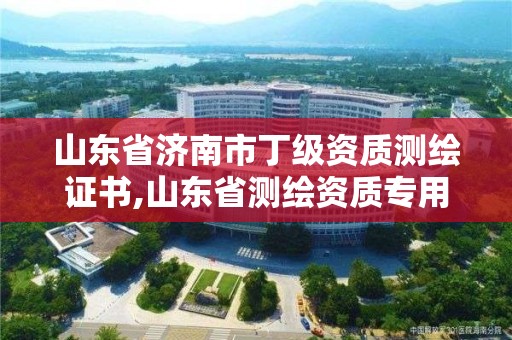 山东省济南市丁级资质测绘证书,山东省测绘资质专用章图片