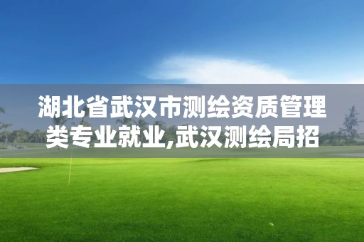 湖北省武汉市测绘资质管理类专业就业,武汉测绘局招聘。