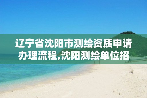 辽宁省沈阳市测绘资质申请办理流程,沈阳测绘单位招聘