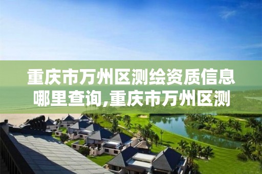 重庆市万州区测绘资质信息哪里查询,重庆市万州区测绘资质信息哪里查询到