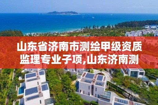 山东省济南市测绘甲级资质监理专业子项,山东济南测绘公司有哪些。