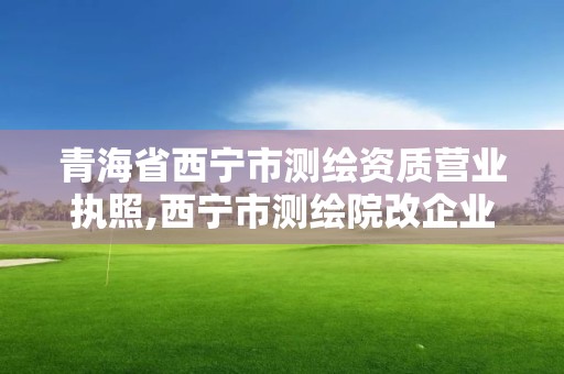 青海省西宁市测绘资质营业执照,西宁市测绘院改企业