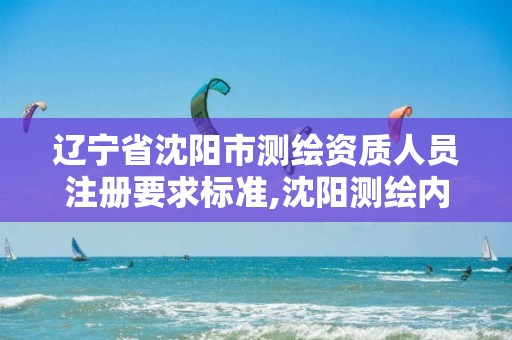 辽宁省沈阳市测绘资质人员注册要求标准,沈阳测绘内业招聘