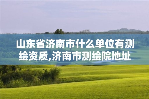 山东省济南市什么单位有测绘资质,济南市测绘院地址