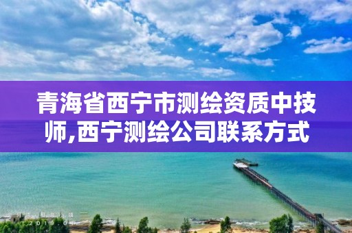 青海省西宁市测绘资质中技师,西宁测绘公司联系方式