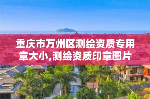 重庆市万州区测绘资质专用章大小,测绘资质印章图片