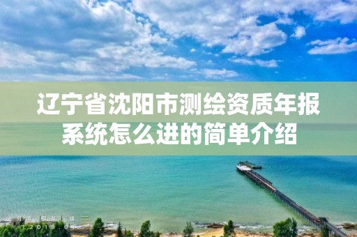 辽宁省沈阳市测绘资质年报系统怎么进的简单介绍