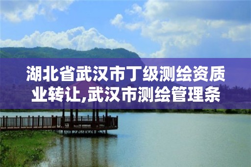 湖北省武汉市丁级测绘资质业转让,武汉市测绘管理条例