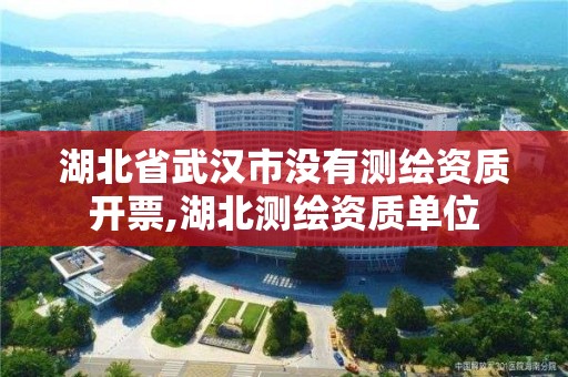 湖北省武汉市没有测绘资质开票,湖北测绘资质单位