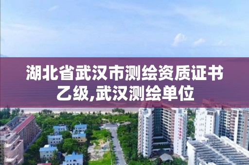 湖北省武汉市测绘资质证书乙级,武汉测绘单位