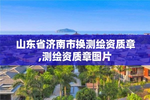 山东省济南市换测绘资质章,测绘资质章图片