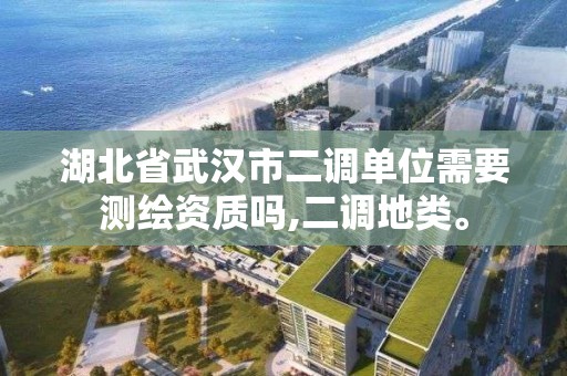 湖北省武汉市二调单位需要测绘资质吗,二调地类。