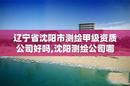 辽宁省沈阳市测绘甲级资质公司好吗,沈阳测绘公司哪家强哪家好