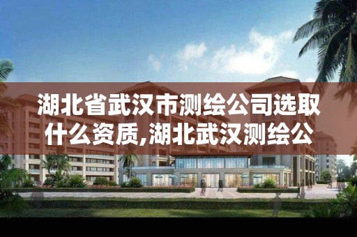 湖北省武汉市测绘公司选取什么资质,湖北武汉测绘公司排行榜