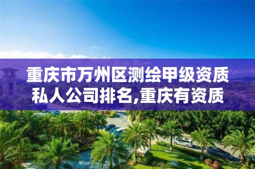 重庆市万州区测绘甲级资质私人公司排名,重庆有资质的测绘公司