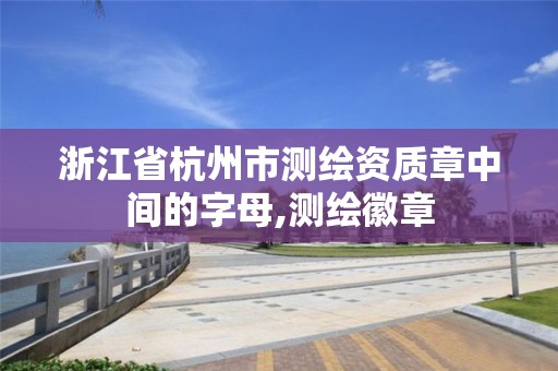 浙江省杭州市测绘资质章中间的字母,测绘徽章