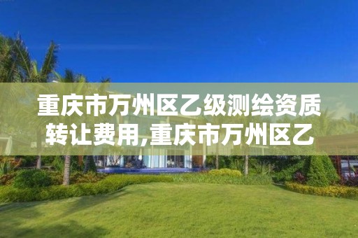 重庆市万州区乙级测绘资质转让费用,重庆市万州区乙级测绘资质转让费用多少。