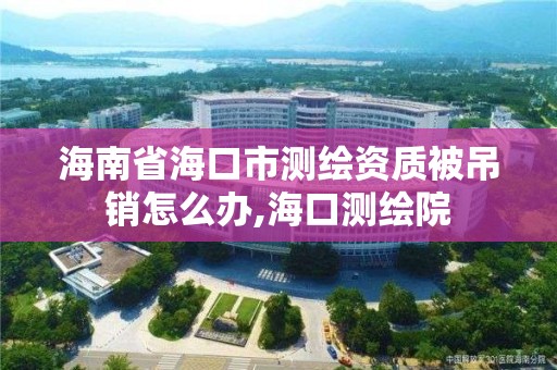 海南省海口市测绘资质被吊销怎么办,海口测绘院