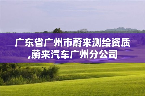 广东省广州市蔚来测绘资质,蔚来汽车广州分公司