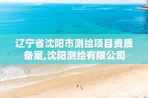 辽宁省沈阳市测绘项目资质备案,沈阳测绘有限公司