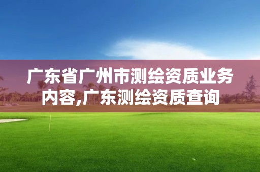 广东省广州市测绘资质业务内容,广东测绘资质查询