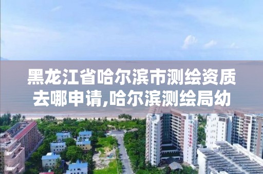 黑龙江省哈尔滨市测绘资质去哪申请,哈尔滨测绘局幼儿园是民办还是公办