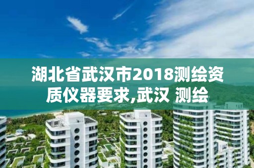 湖北省武汉市2018测绘资质仪器要求,武汉 测绘