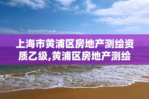 上海市黄浦区房地产测绘资质乙级,黄浦区房地产测绘中心