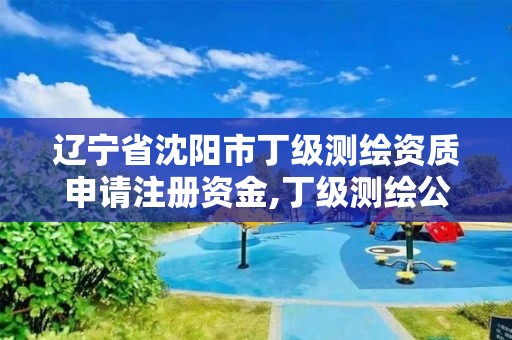 辽宁省沈阳市丁级测绘资质申请注册资金,丁级测绘公司注册条件。