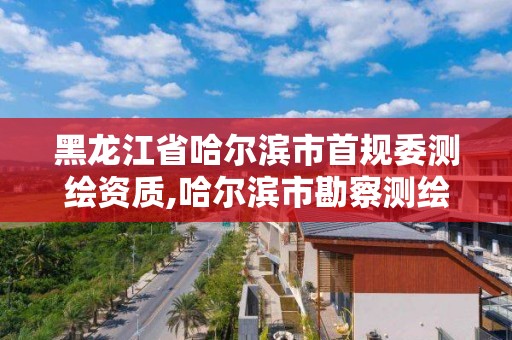 黑龙江省哈尔滨市首规委测绘资质,哈尔滨市勘察测绘研究院