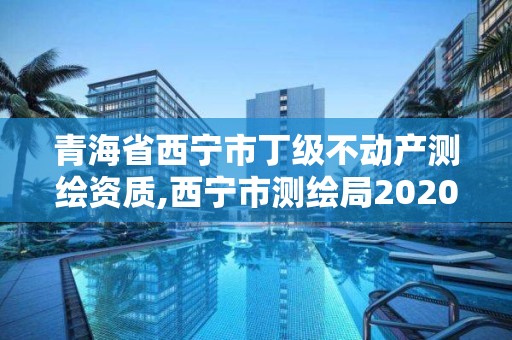 青海省西宁市丁级不动产测绘资质,西宁市测绘局2020招聘。