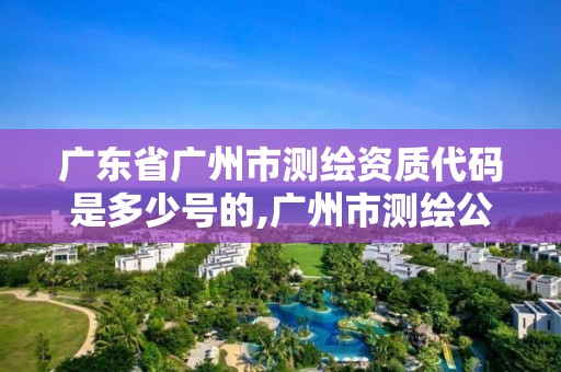 广东省广州市测绘资质代码是多少号的,广州市测绘公司。