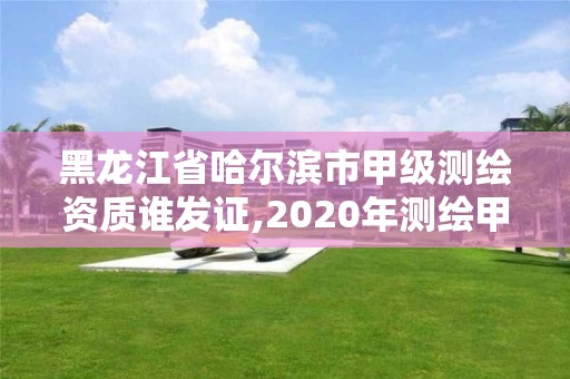 黑龙江省哈尔滨市甲级测绘资质谁发证,2020年测绘甲级资质条件