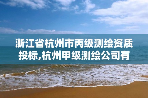 浙江省杭州市丙级测绘资质投标,杭州甲级测绘公司有哪些