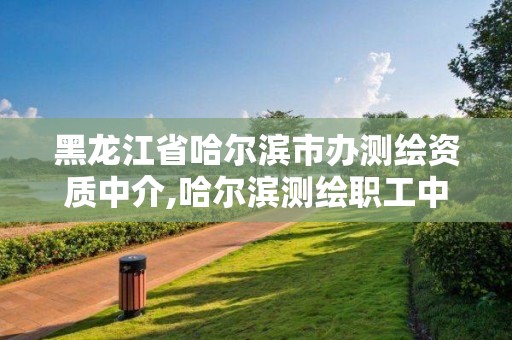 黑龙江省哈尔滨市办测绘资质中介,哈尔滨测绘职工中等专业学校