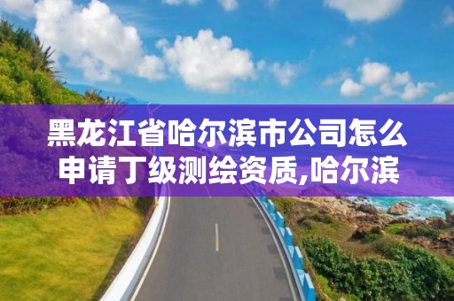 黑龙江省哈尔滨市公司怎么申请丁级测绘资质,哈尔滨市测绘院