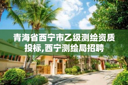 青海省西宁市乙级测绘资质投标,西宁测绘局招聘