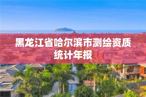 黑龙江省哈尔滨市测绘资质统计年报