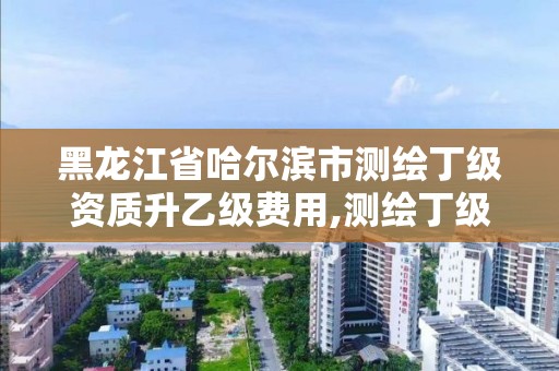 黑龙江省哈尔滨市测绘丁级资质升乙级费用,测绘丁级资质承接业务范围