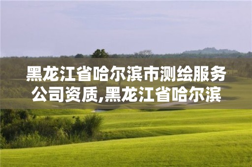 黑龙江省哈尔滨市测绘服务公司资质,黑龙江省哈尔滨市测绘局