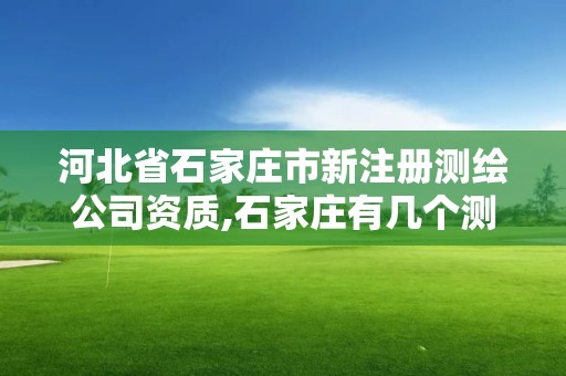 河北省石家庄市新注册测绘公司资质,石家庄有几个测绘局