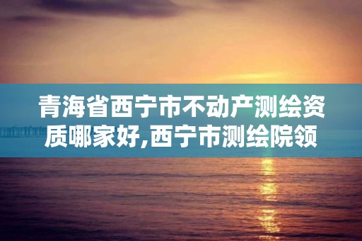 青海省西宁市不动产测绘资质哪家好,西宁市测绘院领导班子