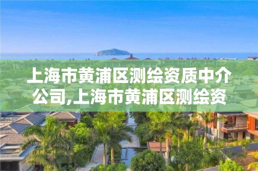 上海市黄浦区测绘资质中介公司,上海市黄浦区测绘资质中介公司有哪些