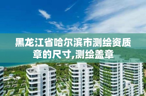 黑龙江省哈尔滨市测绘资质章的尺寸,测绘盖章