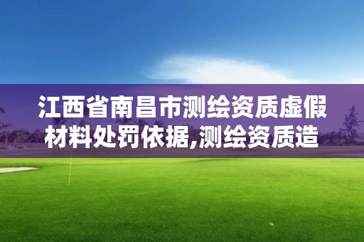 江西省南昌市测绘资质虚假材料处罚依据,测绘资质造假在哪里举报。